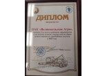 Награды и достижения
